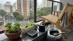 Horta em espaços pequenos: o curso gratuito da Embrapa que vai do vaso certo ao controle de pragas